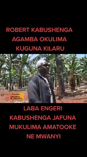 Okulima Bugaga: Robert Kabushenga's Coffee Journey