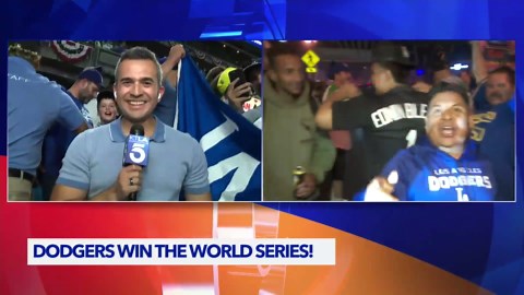 Dodger fans celebrate World Series win in Los Angeles and New York