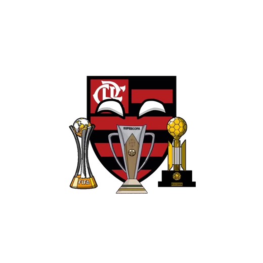 Flamengo e sua Comparação com Outros Clubes Brasileiros