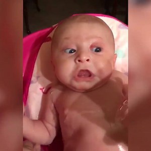 4.4M views · 18K reactions | Splish Splash I was taking a bath! Follow Vs. for more! | Vs. | Facebook