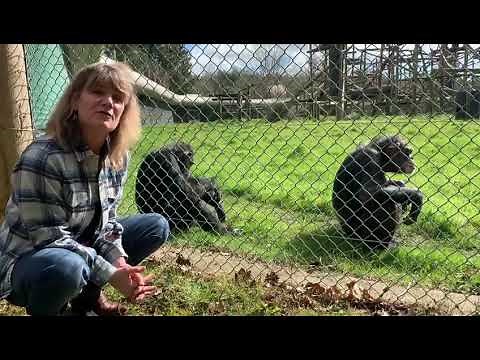 Remembering Jim : 15 years on