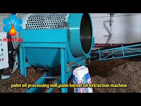 Automatic palm oil processing mill,palm kernel oil extraction machine in Congo#nigeria #palmoilmill