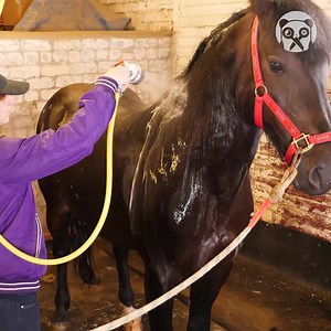 334K views · 2.2K reactions | Satisfying Pro Farm Hacks Thanks for watching! Please be aware that this video is for entertainment purposes only and techniques shown should not be attempted at home! | Awesome | Facebook