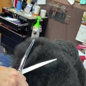 Are your Grooming Shears causing discomfort in your wrist, hand or shoulder? Shark Fin Shears patented handle is custom fitted for maximum control, comfort and a relaxed grip. ✅ 𝟑𝟎-𝐝𝐚𝐲 𝐦𝐨𝐧𝐞𝐲-𝐛𝐚𝐜𝐤 𝐠𝐮𝐚𝐫𝐚𝐧𝐭𝐞𝐞 and an 𝐮𝐧𝐥𝐢𝐦𝐢𝐭𝐞𝐝 𝐥𝐢𝐟𝐞𝐭𝐢𝐦𝐞 𝐰𝐚𝐫𝐫𝐚𝐧𝐭𝐲. Order yours today for only $100 down! | Shark Fin Shears - Beauty