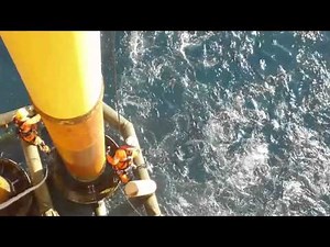Oil Rig Shark Attack