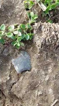 Southern IL Arrowhead Hunting 2-21-26 broken stem base made of Wyandotte #arrowhead #points