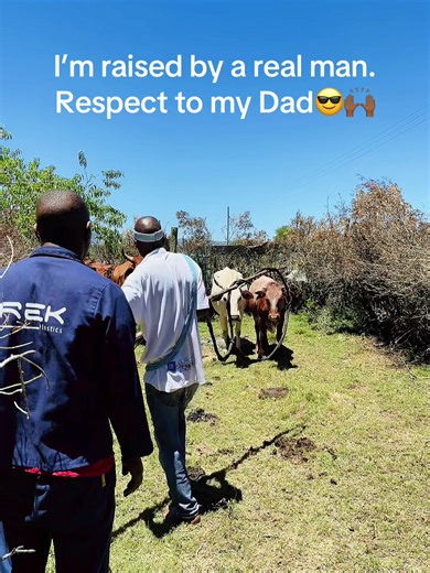 Umalusi Osebenza Ngobuchule: Ukuqonda Umsebenzi Wababa