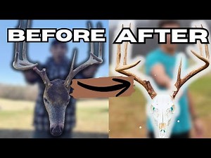 DIY Euro Mount Buck Start to Finish (No Power Washer)