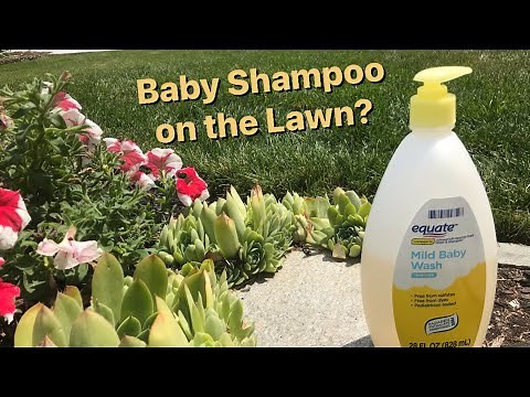 How to Apply Baby Shampoo to Your Lawn | The Benefits on Baby Shampoo in Your Lawn