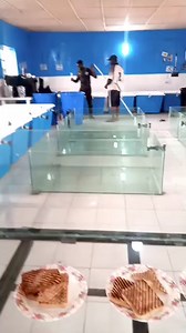 Happy 😁 Sunday 🌹 | Adeyemo Simon