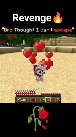 It was a Rail-Gun #minecraft #revenge #infinitycastle #escape