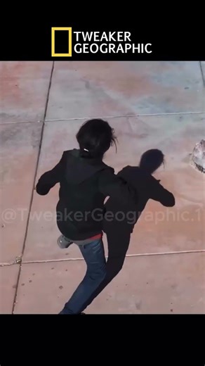 Tweaker Warrior #fypシ #comedyfilms #helpmemakethismakesense #funny #nature #automobile #fighting