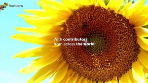 189K views · 1.1K reactions | The Research Topic findings hold the potential to help guide humanity’s response to the ongoing mass insect extinctions that threaten our #ecosystem and food supplies. Find out more about this article collection and why it's one of ten finalists in the running to win the USD $100,000 Spotlight Award! ⬇ https://fro.ntiers.in/AVb6 | Frontiers | Facebook