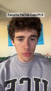 62K views · 2.1K reactions | @foodplushistory i don’t think he’s happy about not making it on your list #catsofinstagram #funnycatsofinstagram #funnycat #cat #catlover | The Loki Show | Facebook