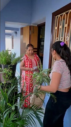 NASA approved air purifiers on hospital duty!❌🌿I hope yeh plants sach me kaam karein🙏#plants #garden