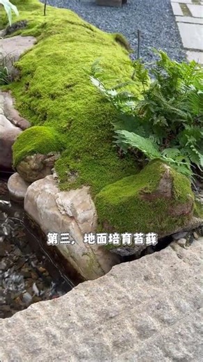 Designing a Mini Courtyard Water Feature: Fish Pond Ideas