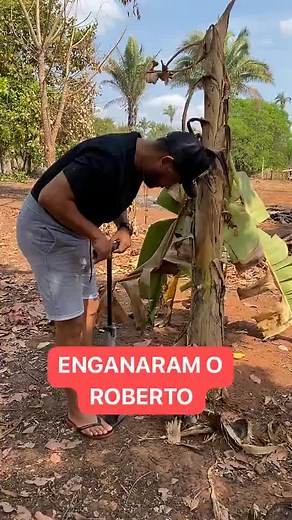 How to Cut Down a Banana Tree: Step-by-Step Guide