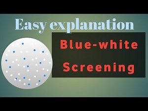 Blue white screening simple and easy explanation, class 12 biotechnology