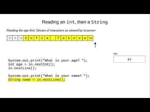 Chapter 3: The “Scanner Bug”