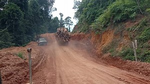 410K views · 3.1K reactions | Power off Myanmar  | Timber trucks | Facebook