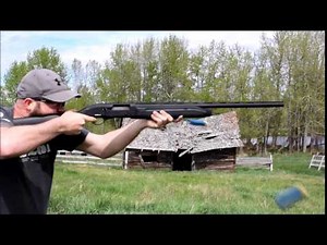 Fast shooting Pardus