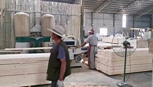 LVL Plywood H20 Wood Timber Beam for Formwork Scaffolding Building Support Lvl Australia