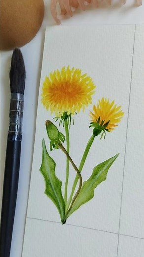 How to Paint a Dandelion in Watercolor | Flower Painting #floralart#watercolor#artshorts #painting