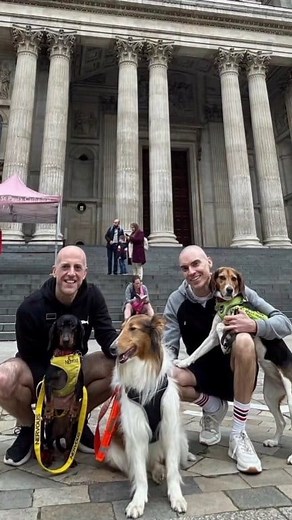 Adoption Update on Beautiful Lassie: This resilient rough collie has been in the UK for six months after surviving the dog meat trade and enduring four years in a Chinese shelter. She is now living a fantastic life with her loving family, Steve and Wes, along with her furry siblings, Bree and Coby. Lassie’s transformation is a testament to her strength and the wonderful care she now receives. | Paws Of China