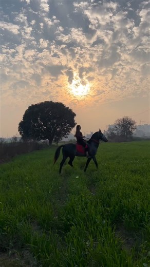 Jaspreet Kaur on Instagram: "🐎 ❤️"