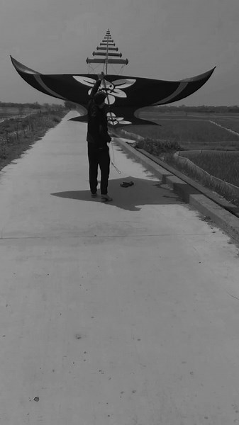 Mastering the Art of Flying a Unique Kite