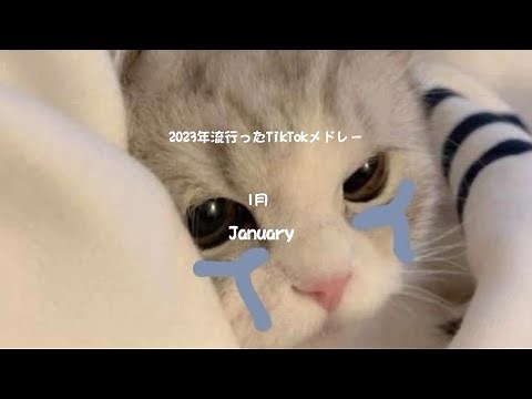 【2023年流行ったTikTokメドレー】何曲踊れる？