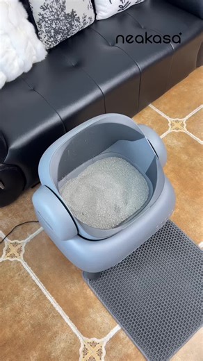 @Neakasa Kickstart your day with a touch, our fully automatic litter box makes American leisure happen right from dawn& top entry litter box #CatProducts #cat#catlitterbox #Petproducts #couple
