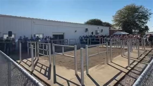 2025 Select Sires Global Conference Bull Parade | Select Sires Inc.