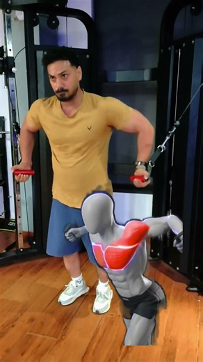ex4 lower chest exercise growth:3–4 sets ×15rps💪Squeeze your chest for 1–2 seconds. #shorts #gymtips