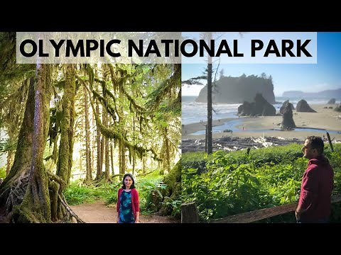 Olympic National Park, Washington - Top Things to Do | Hikes, Beaches, Lodging & Hot Springs