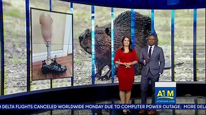 113K views · 1.5K reactions | WATCH: A dolphin steals an iPad from a visitor at SeaWorld and drops it into the water! | World News Now | Facebook