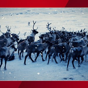 6.7K views · 91 reactions | Santa's coming tonight... and you can track him! Follow along with Santa's journey this Christmas Eve, only on ABC with Hulu + Live TV!   | Hulu | Facebook