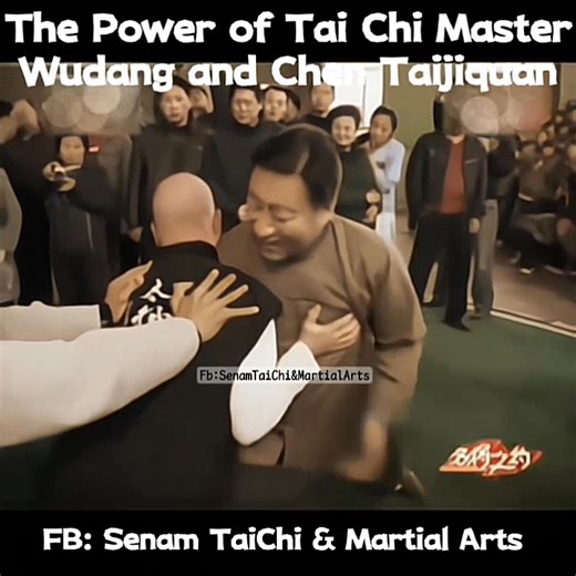 The power of Tai Chi Masters, demonstrated by Wudang Master You Xuande, and Chen Taiji Master Chen Xiaowang. #fajin #taijiquan #taijimaster | Senam Tai Chi & Martial Arts