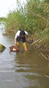 ❤️ Girl opens pearl clams #viralreels #trendingreels2023 #reelsviralfb #viralreelsfb #reelsvideo #trendingreels #reelsfb #trendingreelsvideo #reelsfacebook #huntingpearls | Digging life