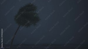 Hurricane force (Category 5) winds viciously blowing a palm tree. 4K UHD simulation with copy space.