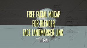 Face Landmark Link Tutorial