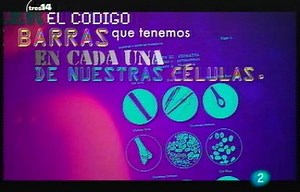 El ADN, nuestra huella genética