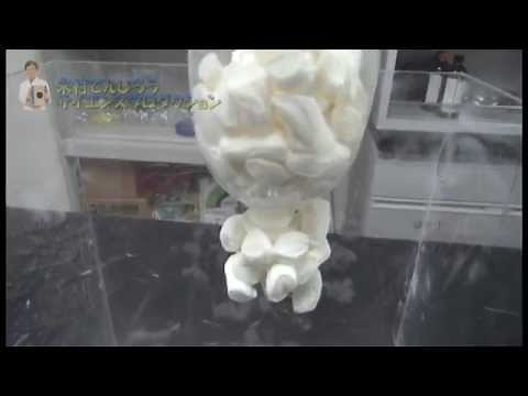 【実験50】マシュマロ おもしろ実験 / 米村でんじろう[公式]