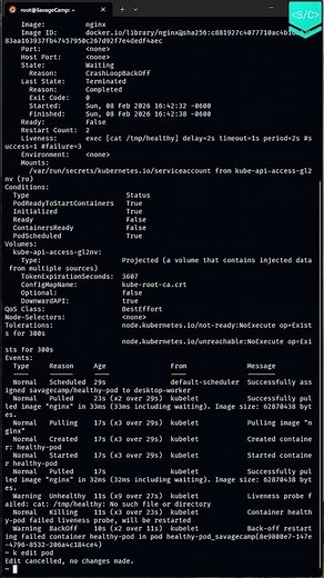 Kubernetes Pod Restarting? Fix the Liveness Probe Death Loop! 🔄 #k8s #programming #kubernetes