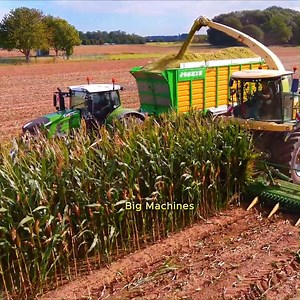 12K views · 893 reactions | How Big John Deere Masters Corn Harvesting✅ Expert Techniques for Farming Success! #bigmachine #johndeere #newholland #bigmachines | Big Machines | Facebook