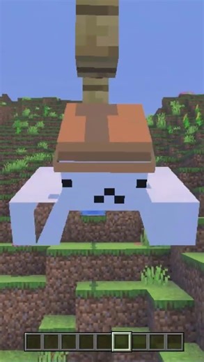 Working Minecraft Zipline? 😱