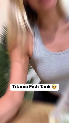 134K views · 944 reactions | Titanic Fish Tank  | Aquarium Info | Facebook