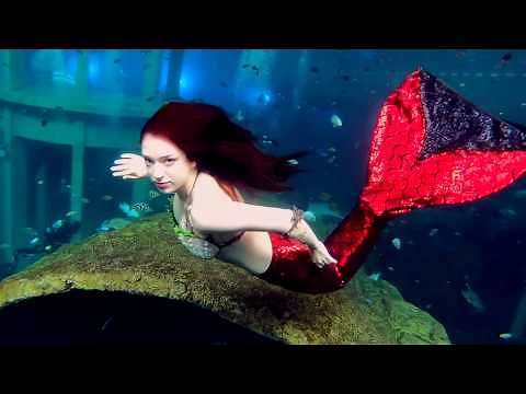 Professional Mermaids At Work | Stella the Siren
