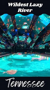 Tag your spring break buddy for an epic idea! Wilderness at the Smokies has the world’s first immersive lazy river! Kaleidoscope Kavern Lazy River offers a unique and unforgettable experience. Float down the serene waters that are enhanced by captivating kaleidoscope lighting and kaleidoscope lighting and enchanting sounds. Though the journey is brief, it is an immersion into wonder and relaxation that is truly worth it. Follow for more family friendly places! | Smore Time Together