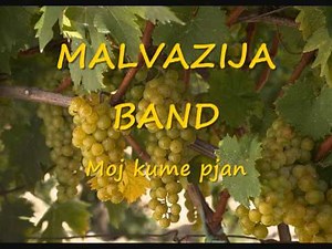 Malvazija Band - MOJ KUME PJAN